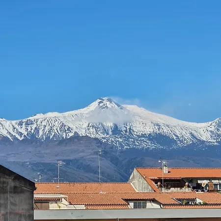 Ai Piedi Dell' Etna Per Gruppi Fino A 20 Persone 公寓 *